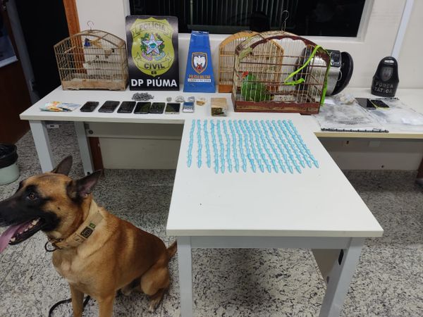 Cão farejador encontra panela elétrica com drogas em residência de Piúma