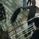 Imagem - Morador joga lixo em vereador após Guarapari aprovar aumento para prefeito