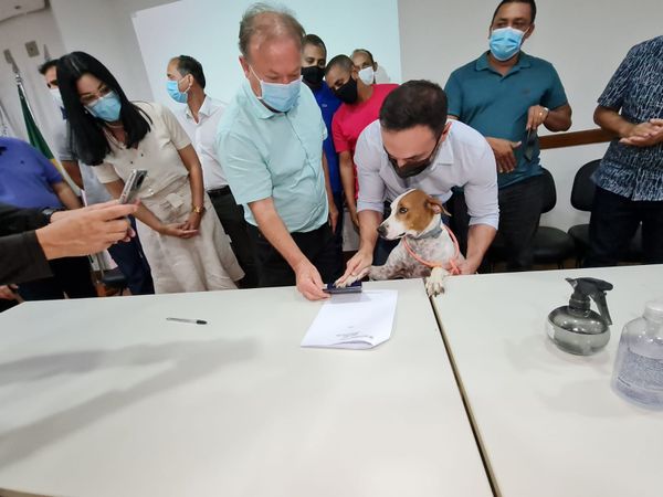 A cachorrinha Scarlett participou da assinatura do Termo de Cooperação para o Programa de Controle Populacional de Cães e Gatos de Colatina e até 