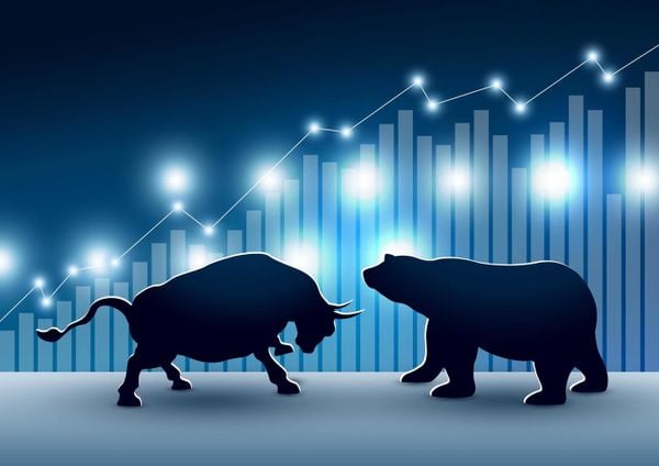 Mercado de ações: touro e urso
