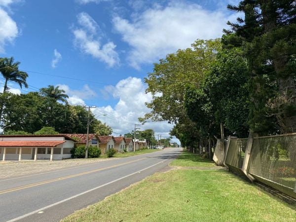 Local onde as vítimas foram atropeladas, na BR 381, em São Mateus