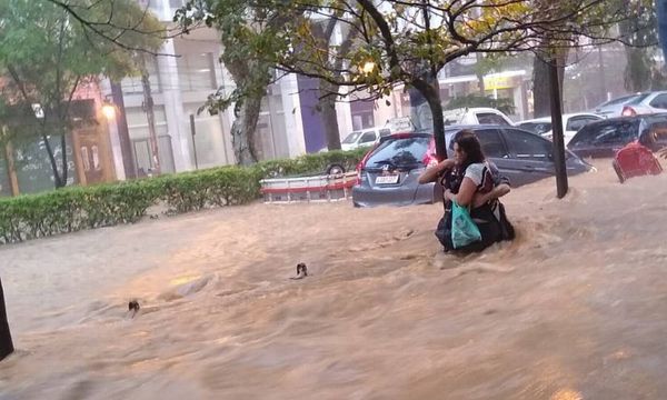 Dois pedestres se agarram à árvore para não serem levados pelas águas durante temporal em Petrópolis por Reprodução/Redes Sociais