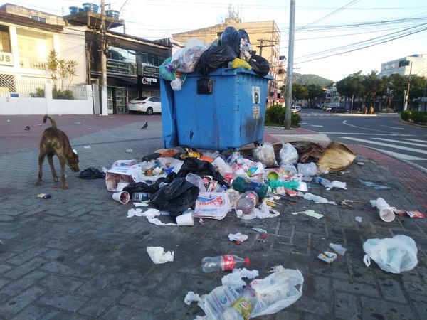 Com o lixo espalhado por não ter sido recolhido, animais se alimentam com os restos encontrados por Ricardo Medeiros