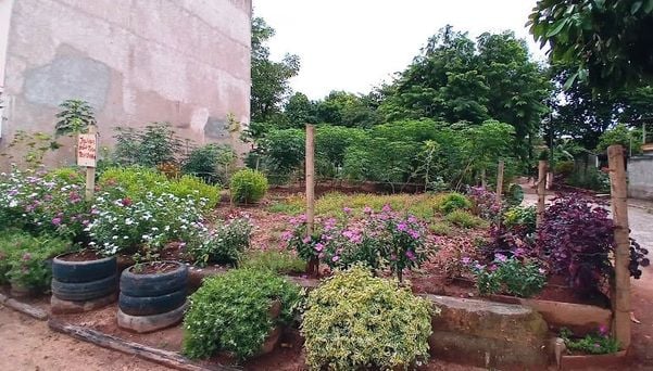 Casal de Alfredo Chaves transforma ponto viciado de lixo em jardim por Divulgação/ PMAC