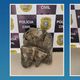 Imagem - Polícia recupera busto de bronze furtado em avenida de Cachoeiro