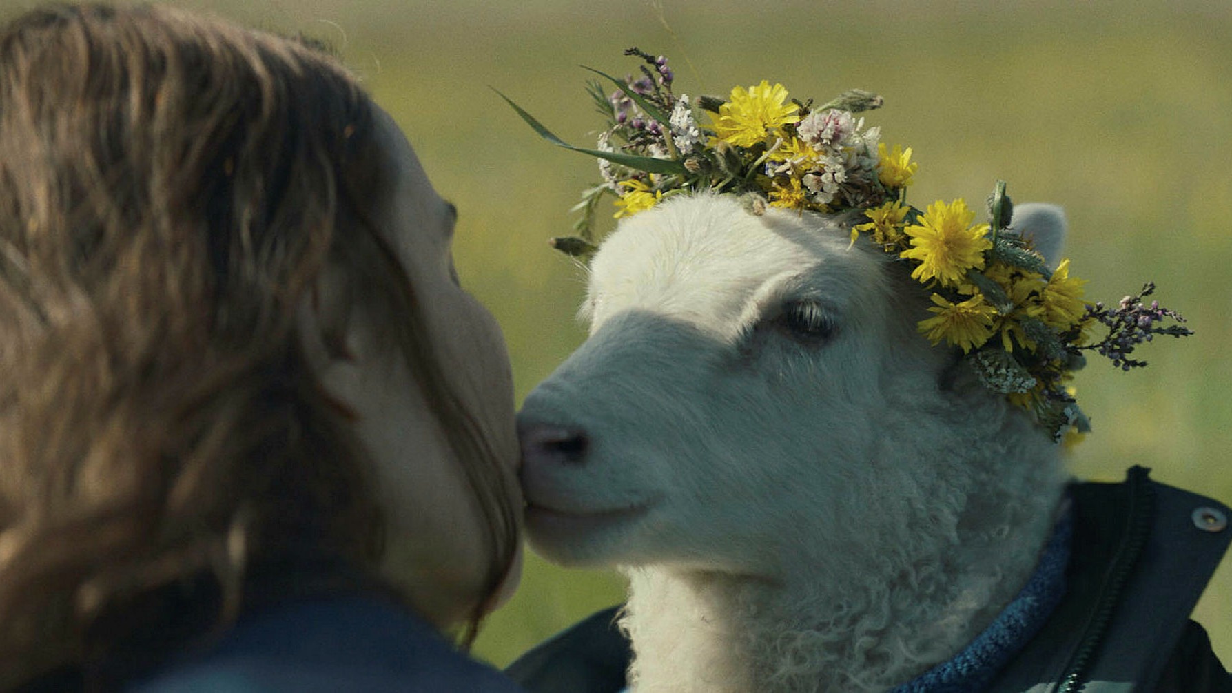 Filme islandês com Noomi Rapace - que estreia no streaming MUBI - gira em torno de cordeiro antropomórfico fofo e grotesco na mesma medida