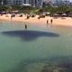 Imagem - Vídeo: cardume se aproxima da praia e surpreende banhistas em Guarapari
