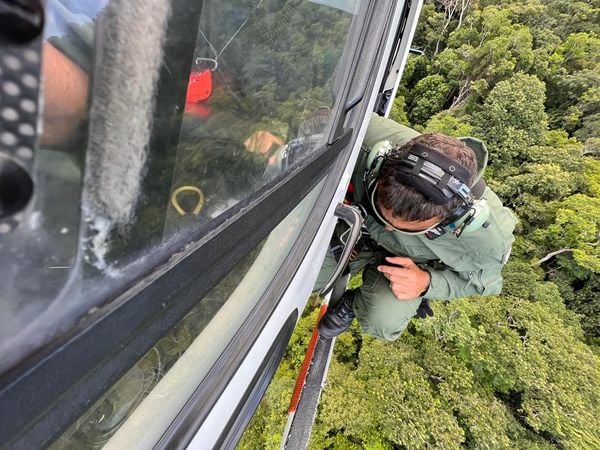 Homem é picado por cobra no Mestre Álvaro, na Serra