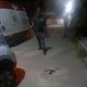 Imagem - Jovem é baleado e se esconde em telhado para fugir de atiradores na Serra