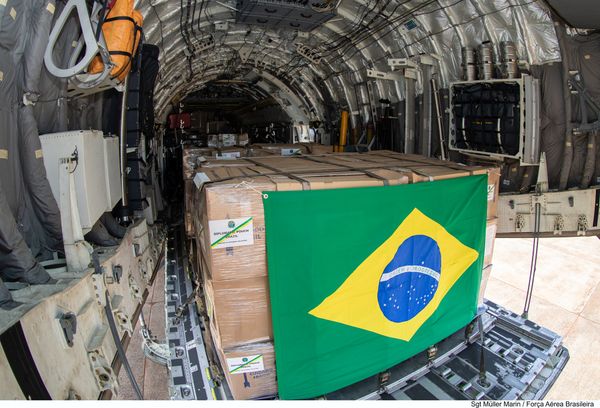 Aeronave da FAB foi à Polônia resgatar brasileiros e animais de estimação por Divulgação | FAB