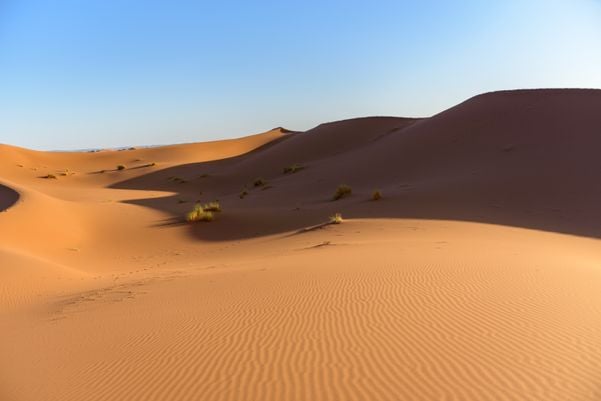 O Saara é o maior deserto do mundo e fica na região Norte da África