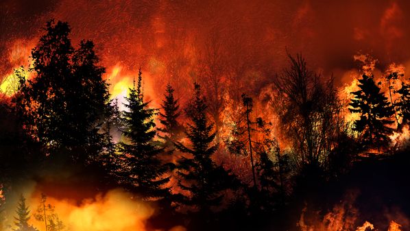 Vivemos um momento em que informação de qualidade se tornou tão importante quanto a própria ação. Quando dados distorcidos se espalham, minam a confiança pública, alimentam o negacionismo e atrasam decisões urgentes