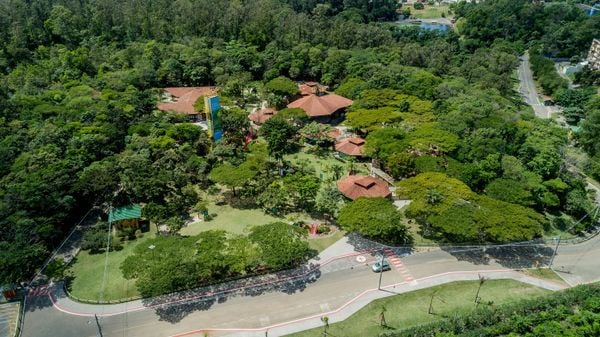 O Parque Botânico Vale, em Jardim Camburi, Vitória-ES, continua com sua programação ambiental
