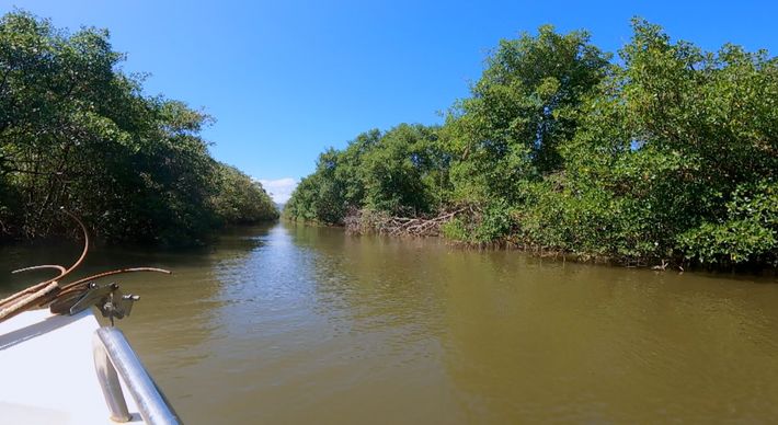 Confira o vídeo da tour pela baía da capital, que destaca os pontos turísticos e suas belezas naturais, como o maior manguezal urbano da América Latina