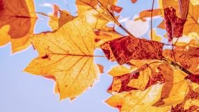 Ouça detalhes na entrevista com o meteorologista Gustavo Verardo, da Climatempo