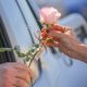 Imagem - Voluntários vão distribuir flores e mensagens de amor e paz em Vitória