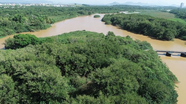 Investir em arborização e áreas verdes nas cidades é essencial para reduzir o calor, prevenir doenças e melhorar a qualidade de vida da população
