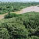 Imagem - Vila Velha vai ganhar novo parque em área de proteção ambiental