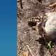 Imagem - Moradores encontram ossada perto de igreja em Cariacica