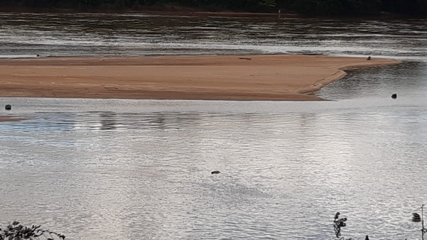 Corpo é encontrado boiando no Rio Doce em Colatina