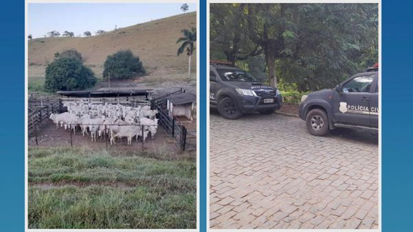 Dono de propriedade é preso por receptação de gado furtado em Minas Gerais