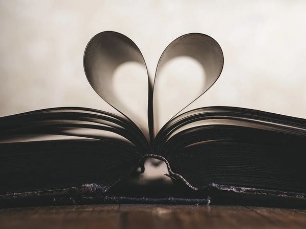 Amor, livro