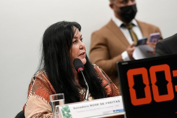Senadora Rose de Freitas