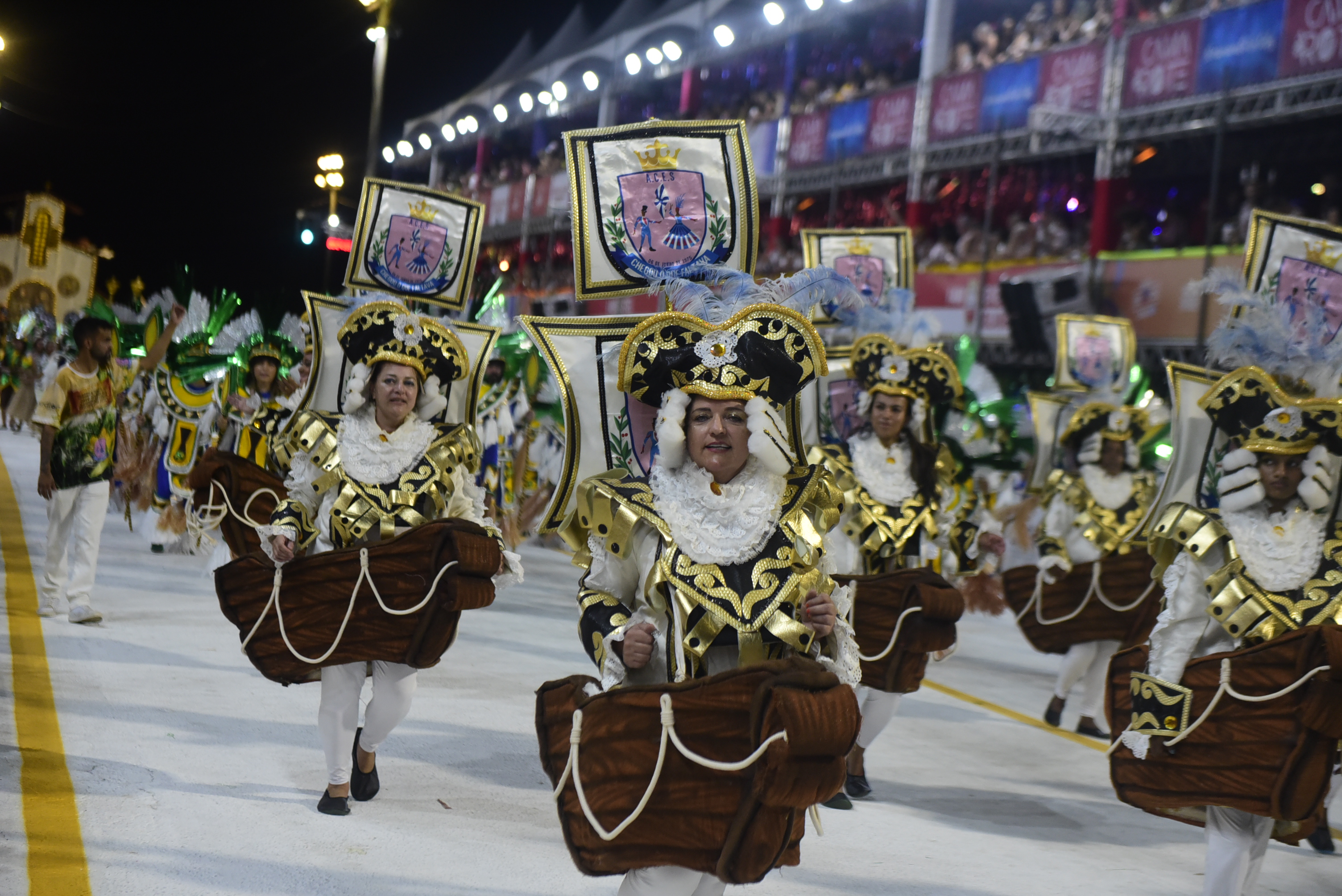 Desfile da escola de samba Chegou O que Faltava no carnaval de Vitória.