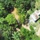 Imagem - Advogado compra terreno e planta floresta de 112 mil m² em João Neiva