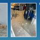 Imagem - Presos suspeitos de furto de roupas avaliadas em R$ 50 mil em Cachoeiro