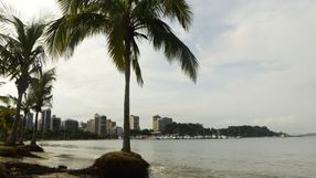 A Gazeta - drcrxyd7c