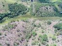 Quase 80 mil metros quadrados de vegetação nativa é encontrada desmatada em Alegre(Divulgação \ 3° BPMES)