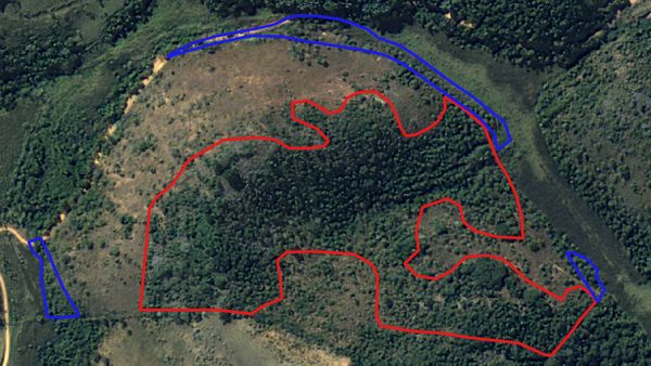 Quase 80 mil metros quadrados de vegetação nativa é encontrada desmatada em Alegre