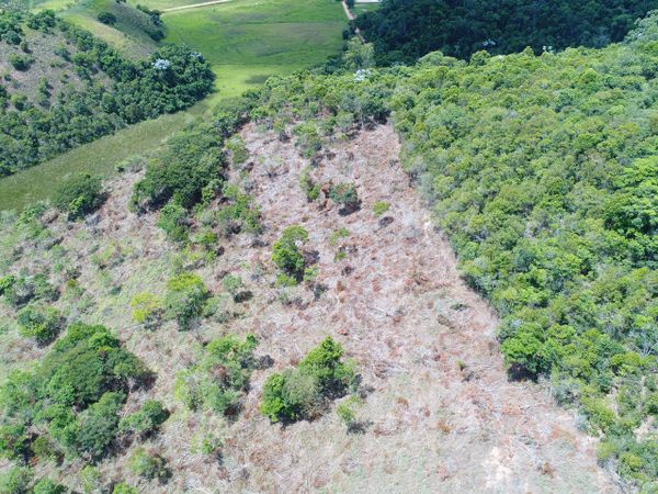 Policiais encontraram uma área de desmatamento de vegetação nativa sem autorização por Divulgação \ 3° BPMES