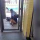 Imagem - Homem é detido após quebrar guarita do Terminal do Ibes, em Vila Velha