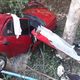 Imagem - Motorista morre após carro bater em árvore em Itaguaçu