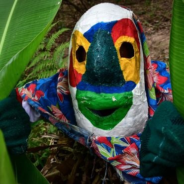 Imagem - João Bananeira: o mascarado que virou símbolo da resistência e da cultura em Cariacica