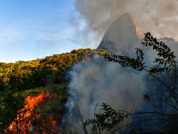 Incêndio atinge área do Parque Pedra dos Dois Olhos, em Vitória por Fernando Madeira
