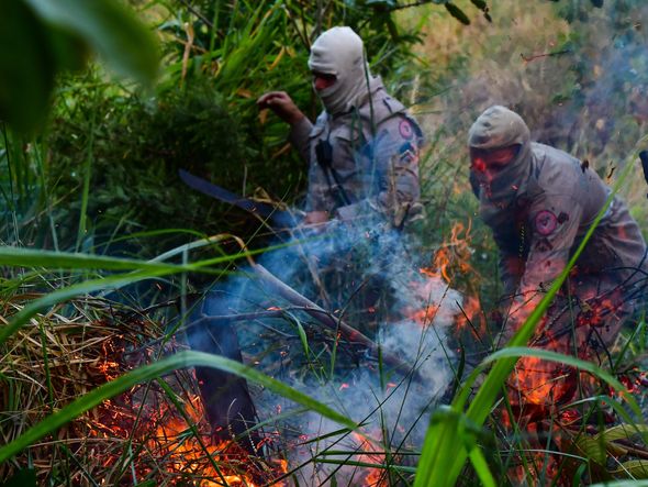 Incêndio atinge área do Parque Pedra dos Dois Olhos, em Vitória por Fernando Madeira
