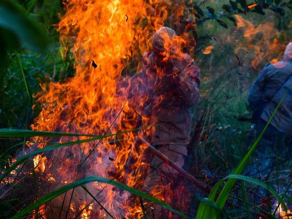 Incêndio atinge área do Parque Pedra dos Dois Olhos, em Vitória por Fernando Madeira