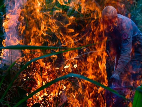 Incêndio atinge área do Parque Pedra dos Dois Olhos, em Vitória por Fernando Madeira