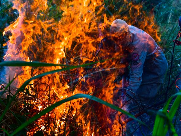 Incêndio atinge área do Parque Pedra dos Dois Olhos, em Vitória por Fernando Madeira