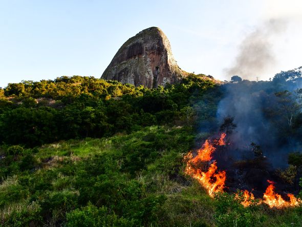 Incêndio atinge área do Parque Pedra dos Dois Olhos, em Vitória por Fernando Madeira