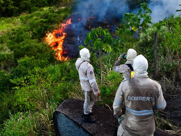 Incêndio atinge área do Parque Pedra dos Dois Olhos, em Vitória por Fernando Madeira