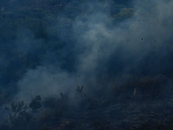 Incêndio atinge área do Parque Pedra dos Dois Olhos, em Vitória por Fernando Madeira