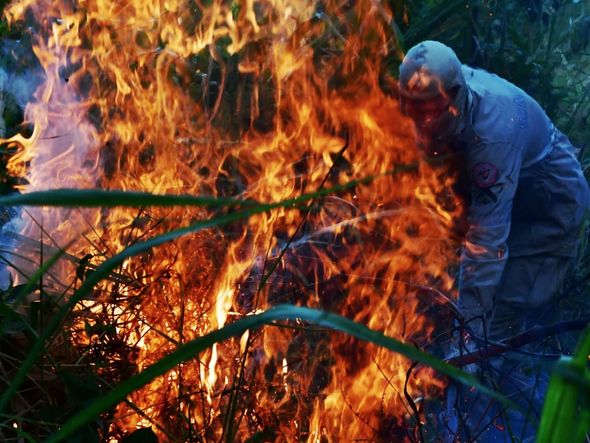 Incêndio no Parque da Pedra dos Olhos por Fernando Madeira