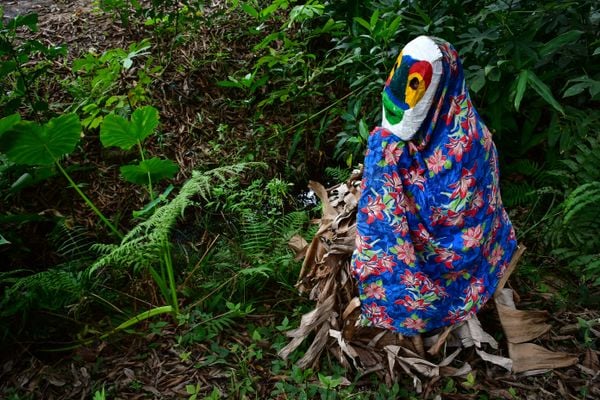 Carnaval de Congo de Máscaras de Roda D'água, em Cariacica por Fernando Madeira