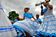 Carnaval de Congo de Máscaras de Roda D'água, em Cariacica