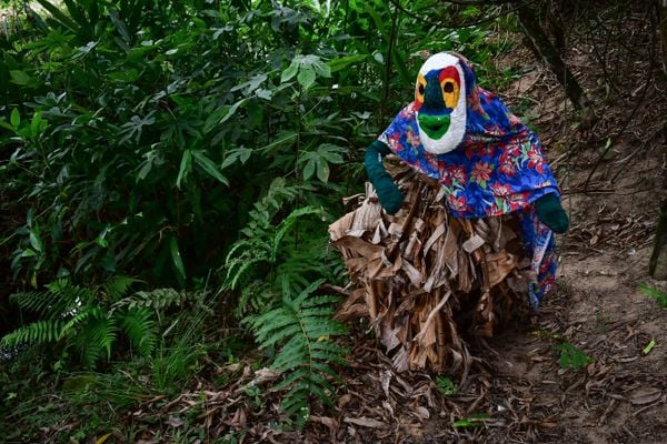 Carnaval de Congo de Máscaras de Roda D'água, em Cariacica por Fernando Madeira