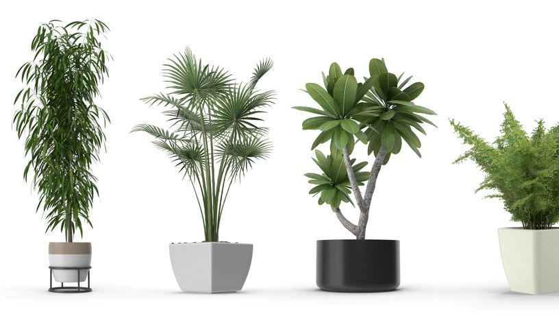 Como incrementar na decoração do seu jardim